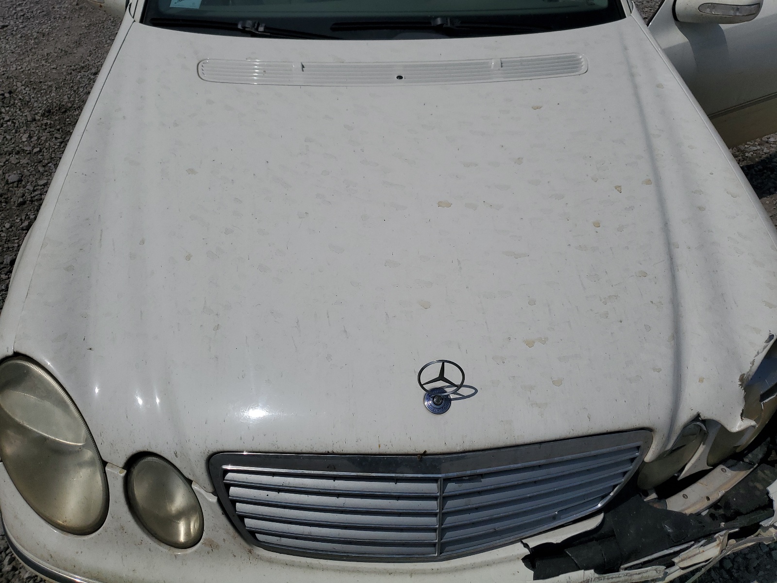 WDBUF26J36A836947 2006 Mercedes-Benz E 320 Cdi