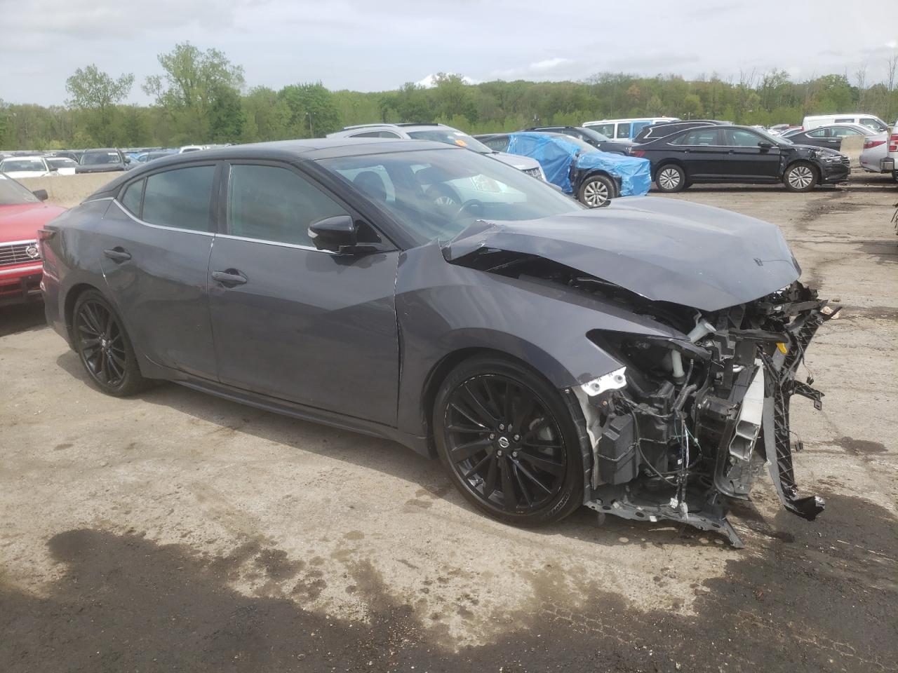 2021 Nissan Maxima Platinum VIN: 1N4AA6FVXMC502452 Lot: 50614234