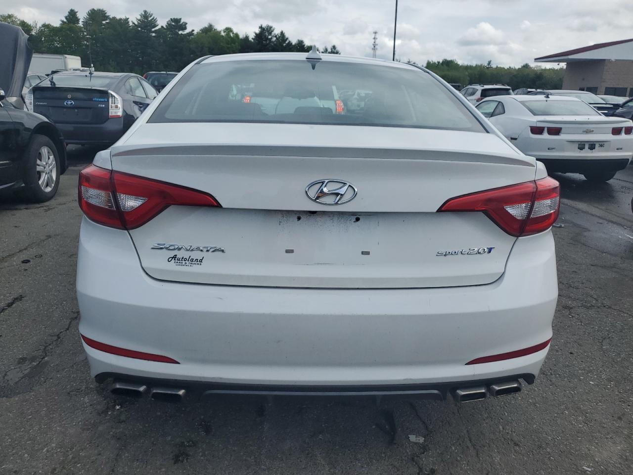 2017 Hyundai Sonata Sport VIN: 5NPE34AB1HH513891 Lot: 56037324