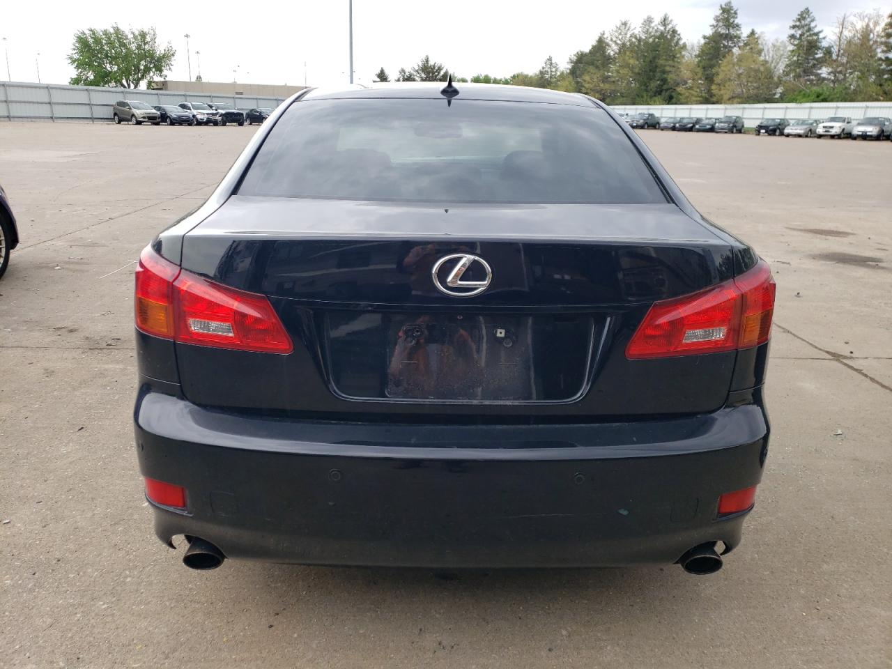 2008 Lexus Is 350 VIN: JTHBE262885019844 Lot: 52576864