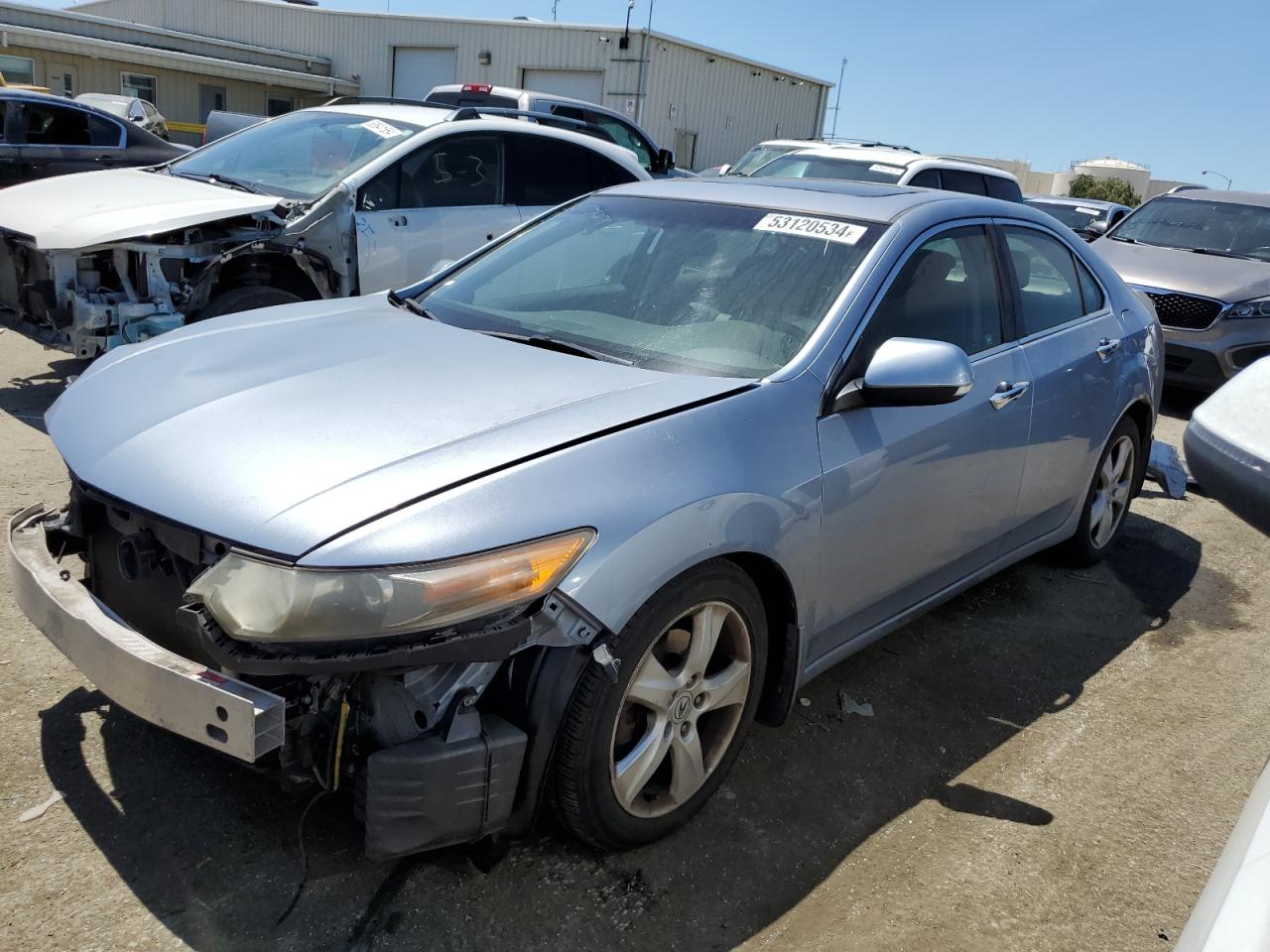 2009 Acura Tsx VIN: JH4CU26609C033891 Lot: 53120534