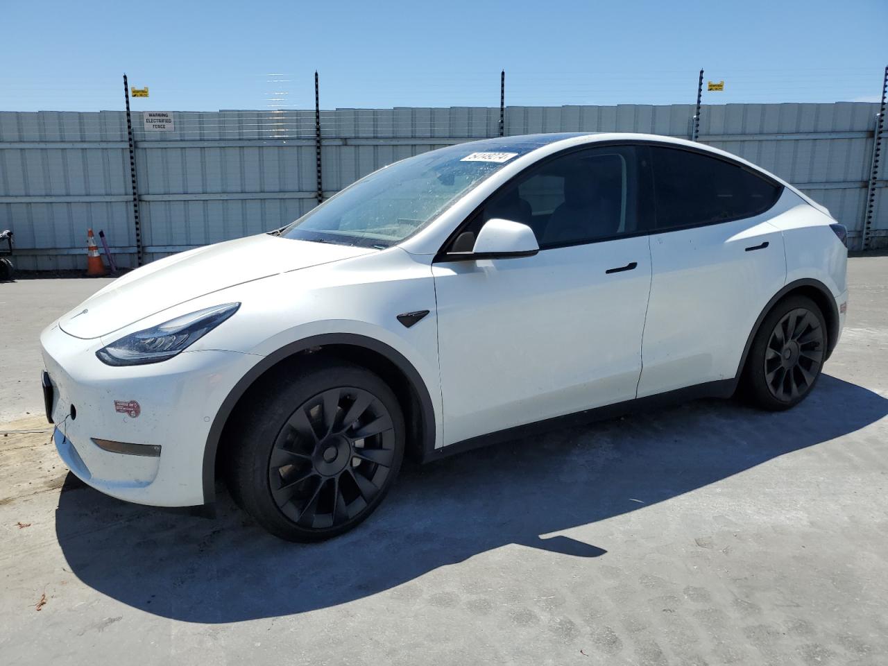 2022 Tesla Model Y VIN: 7SAYGAEE1NF489173 Lot: 54149274