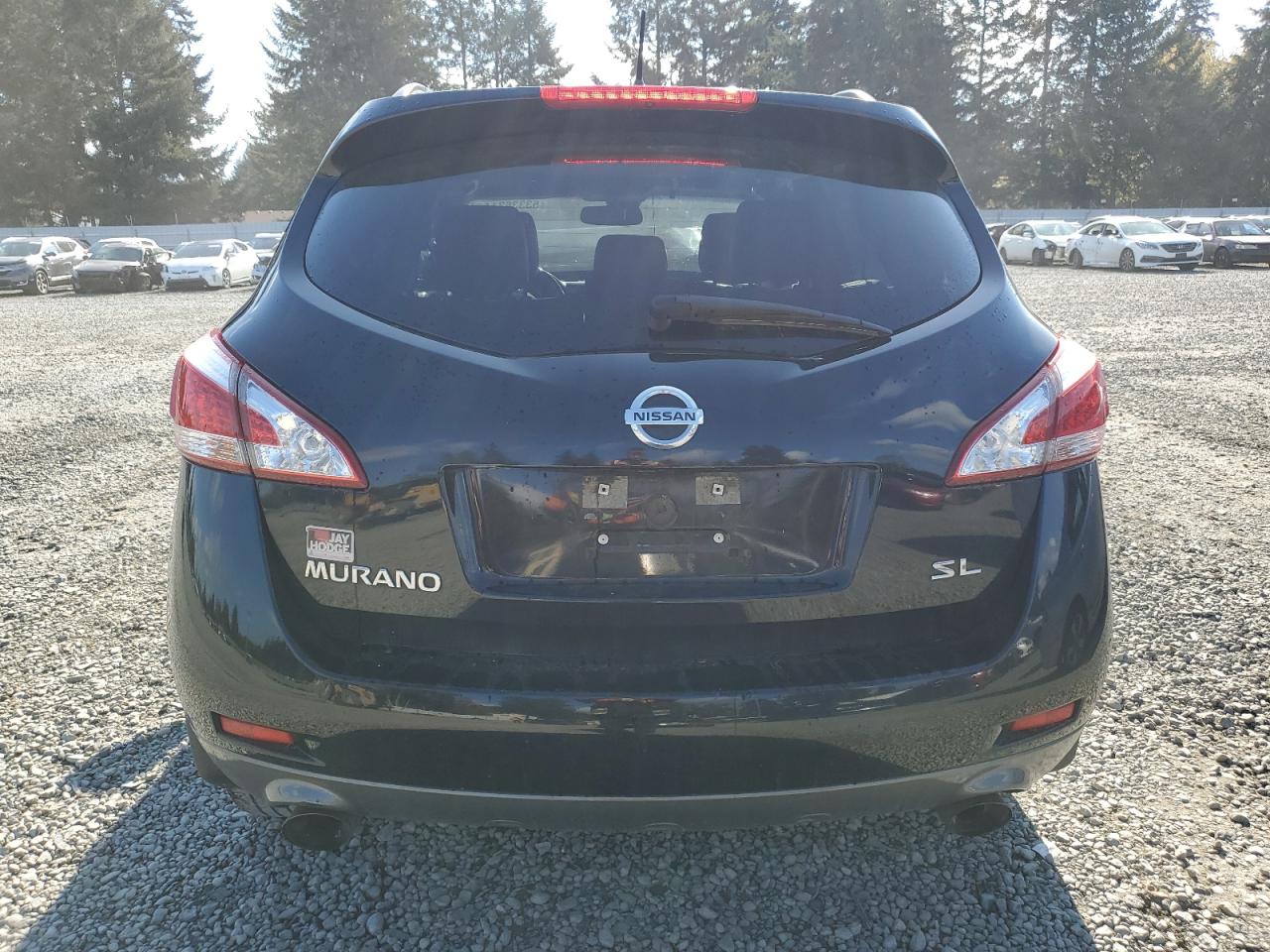 2013 Nissan Murano S VIN: JN8AZ1MU2DW203122 Lot: 53336314