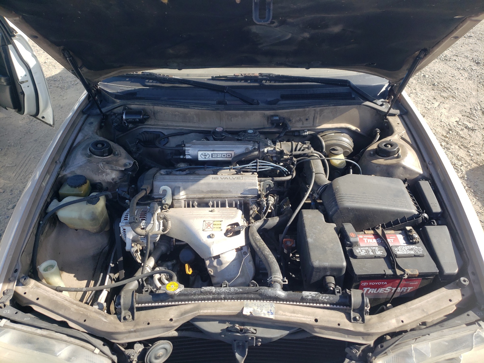 JT2SK12E7R0255638 1994 Toyota Camry Le