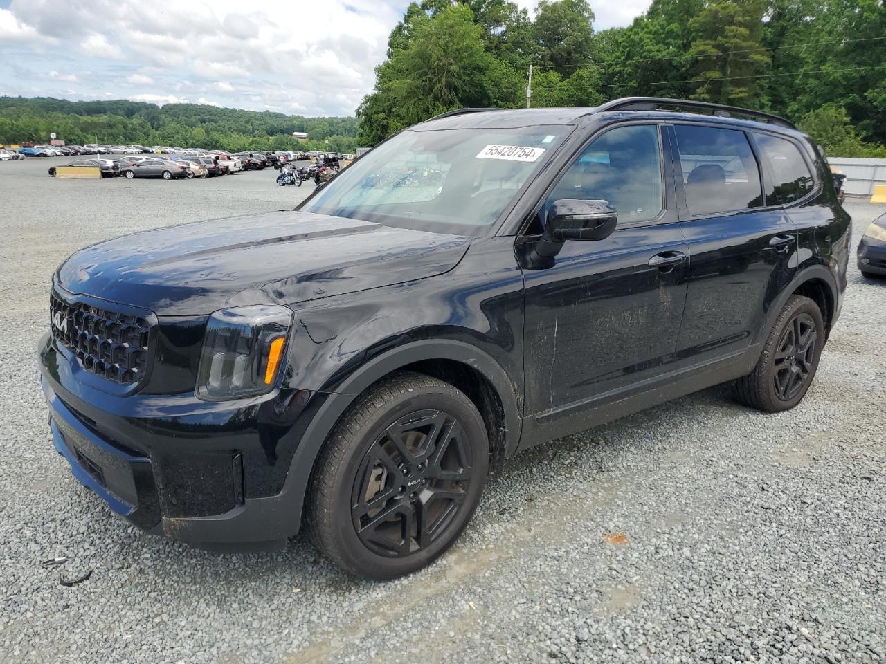 2024 Kia Telluride Ex VIN: 5XYP3DGC6RG446545 Lot: 55420754
