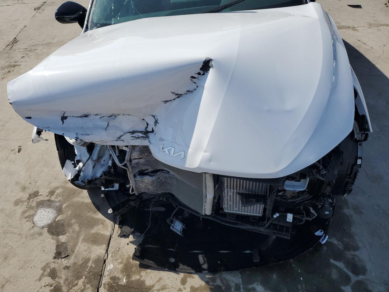 2023 Kia K5 Gt Line VIN: 5XXG64J22PG189120 Lot: 55168214