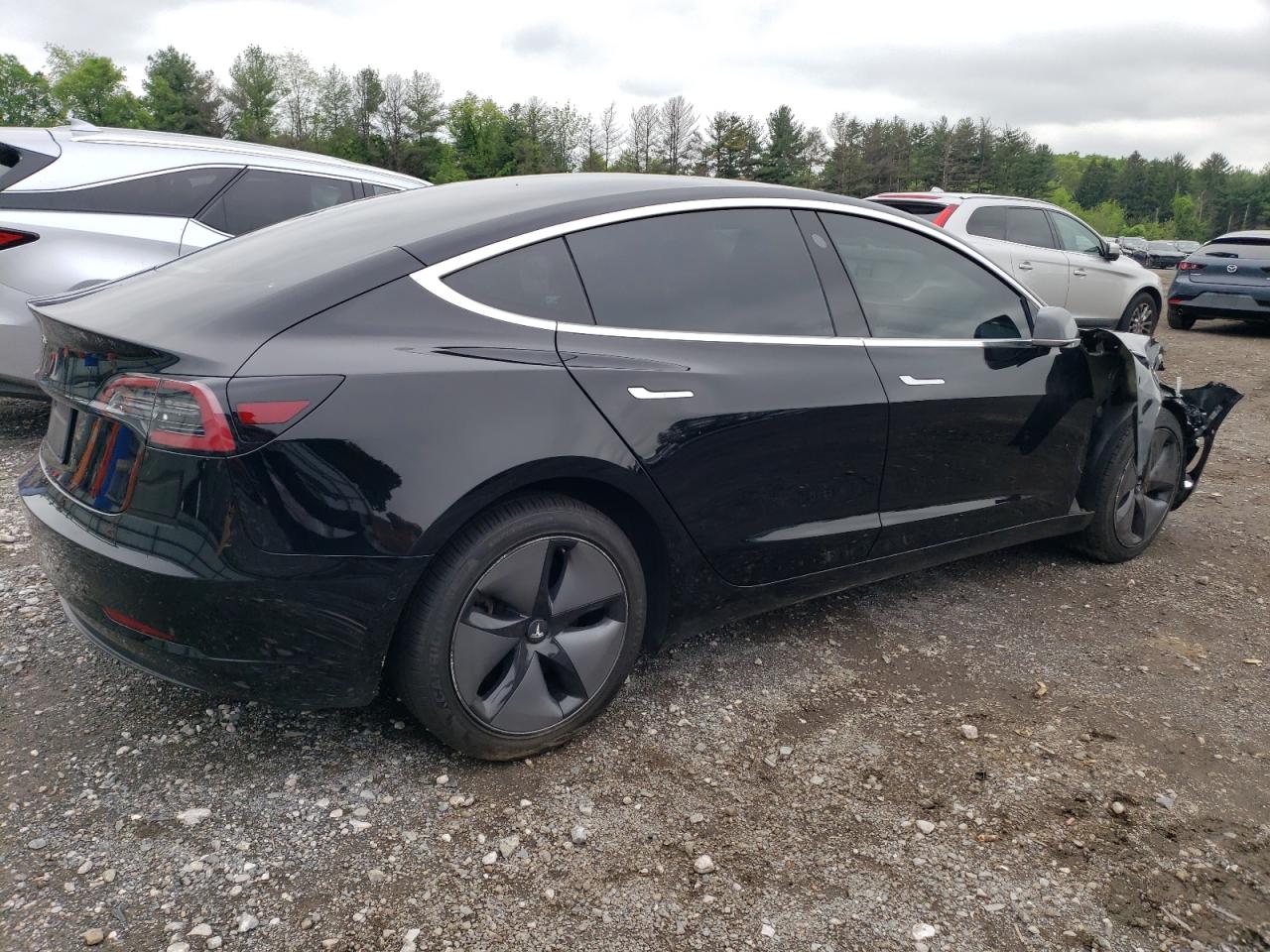 2019 Tesla Model 3 VIN: 5YJ3E1EA9KF305250 Lot: 53923914