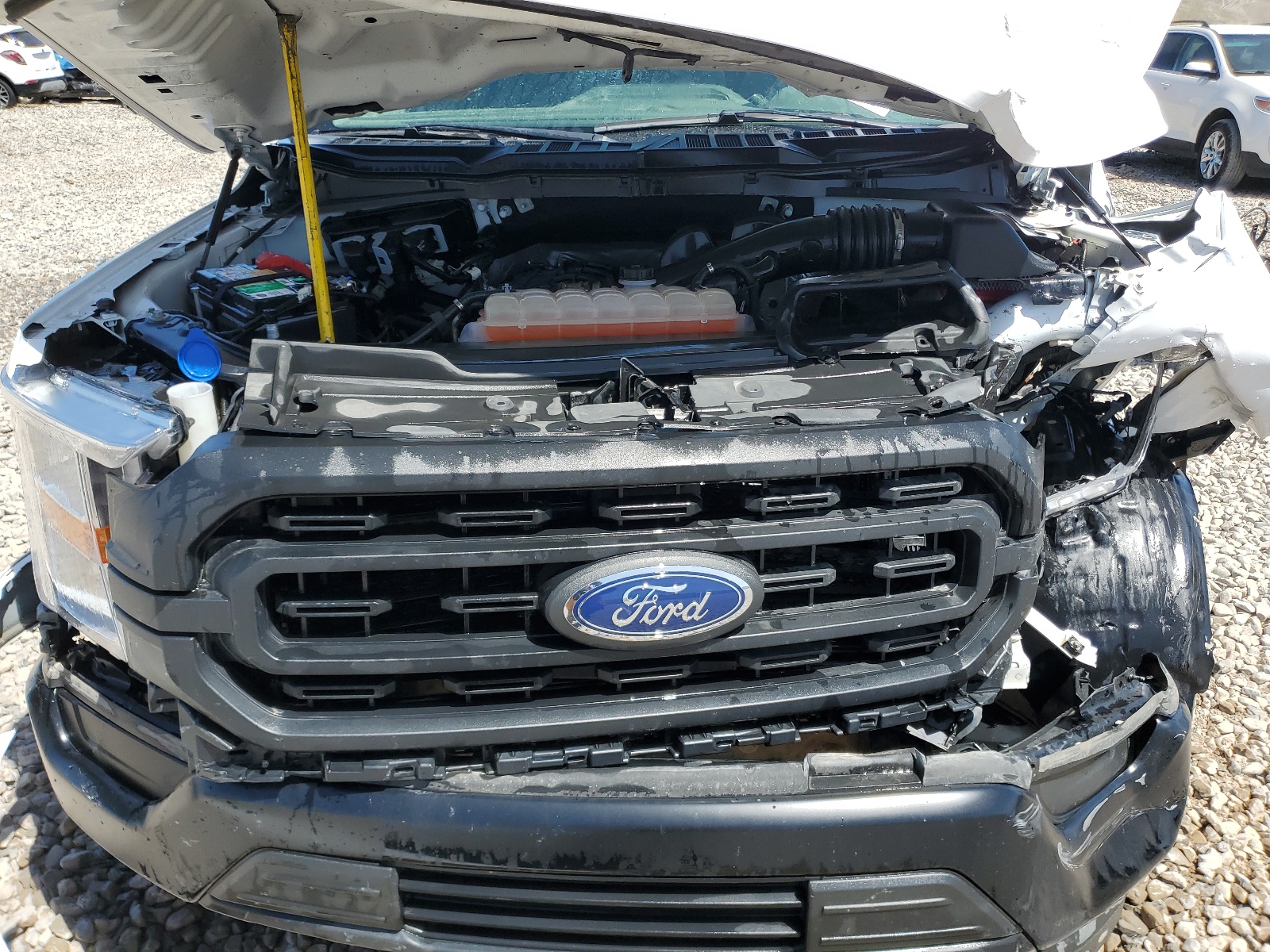 2021 Ford F150 vin: 1FTMF1CB7MKD83951