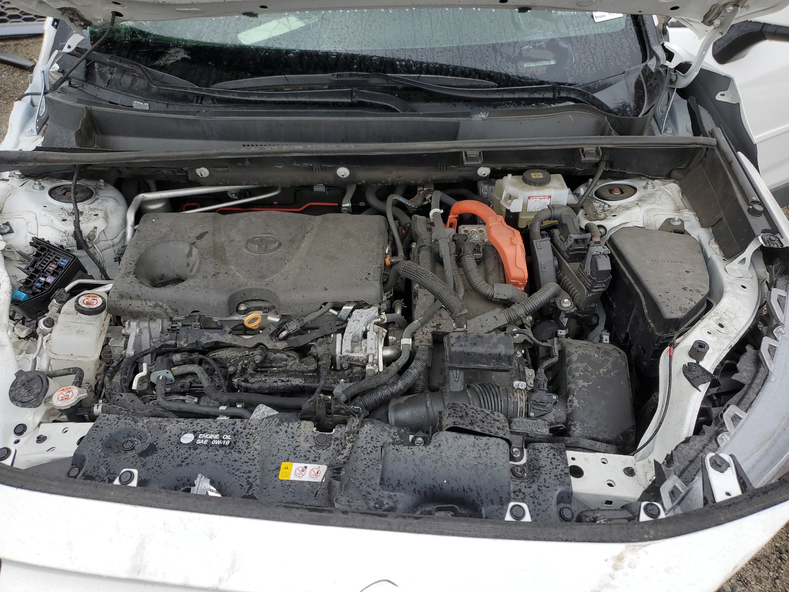 2T3RWRFV4MW113450 2021 Toyota Rav4 Xle