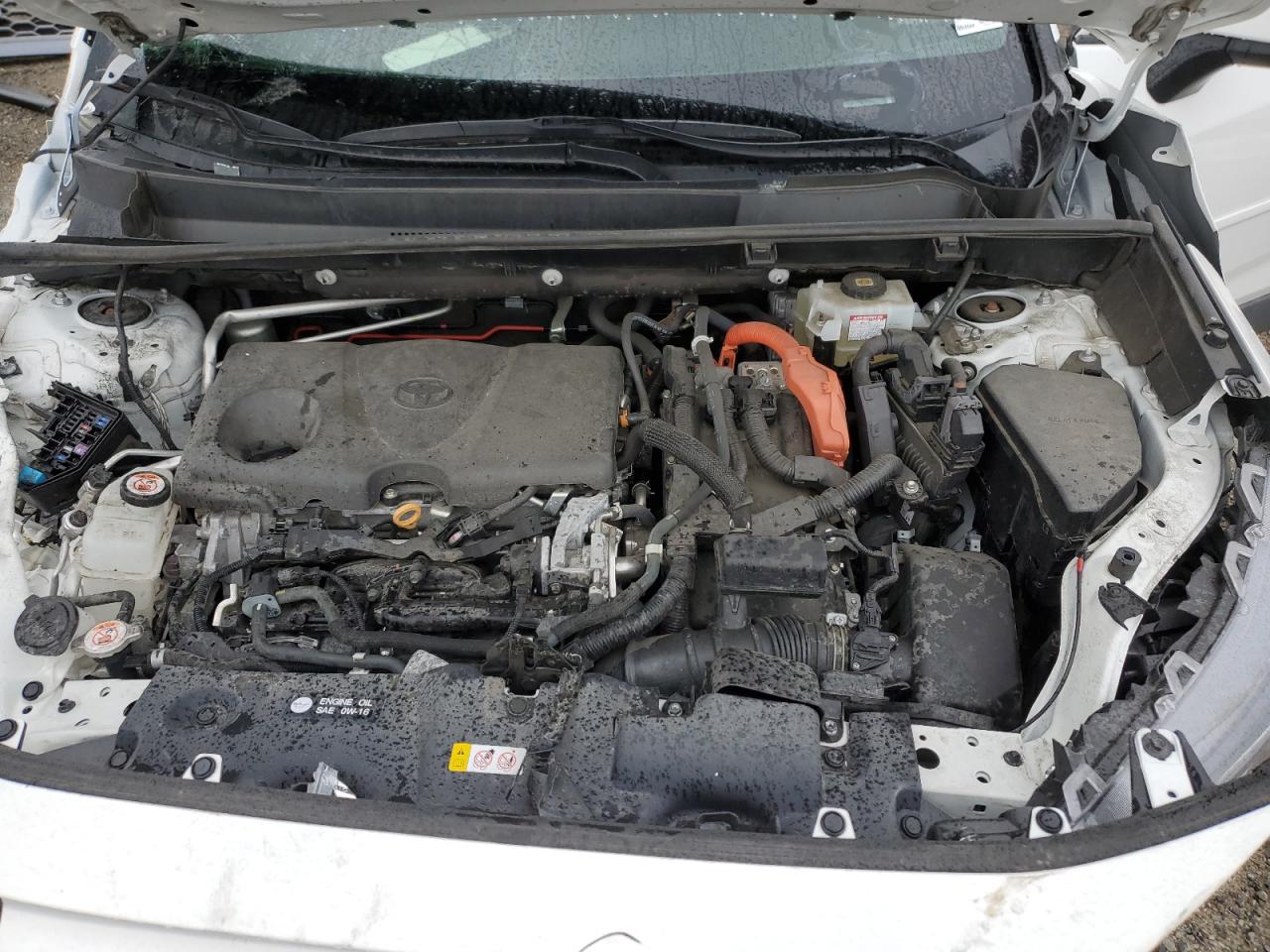 2021 Toyota Rav4 Xle VIN: 2T3RWRFV4MW113450 Lot: 55787804