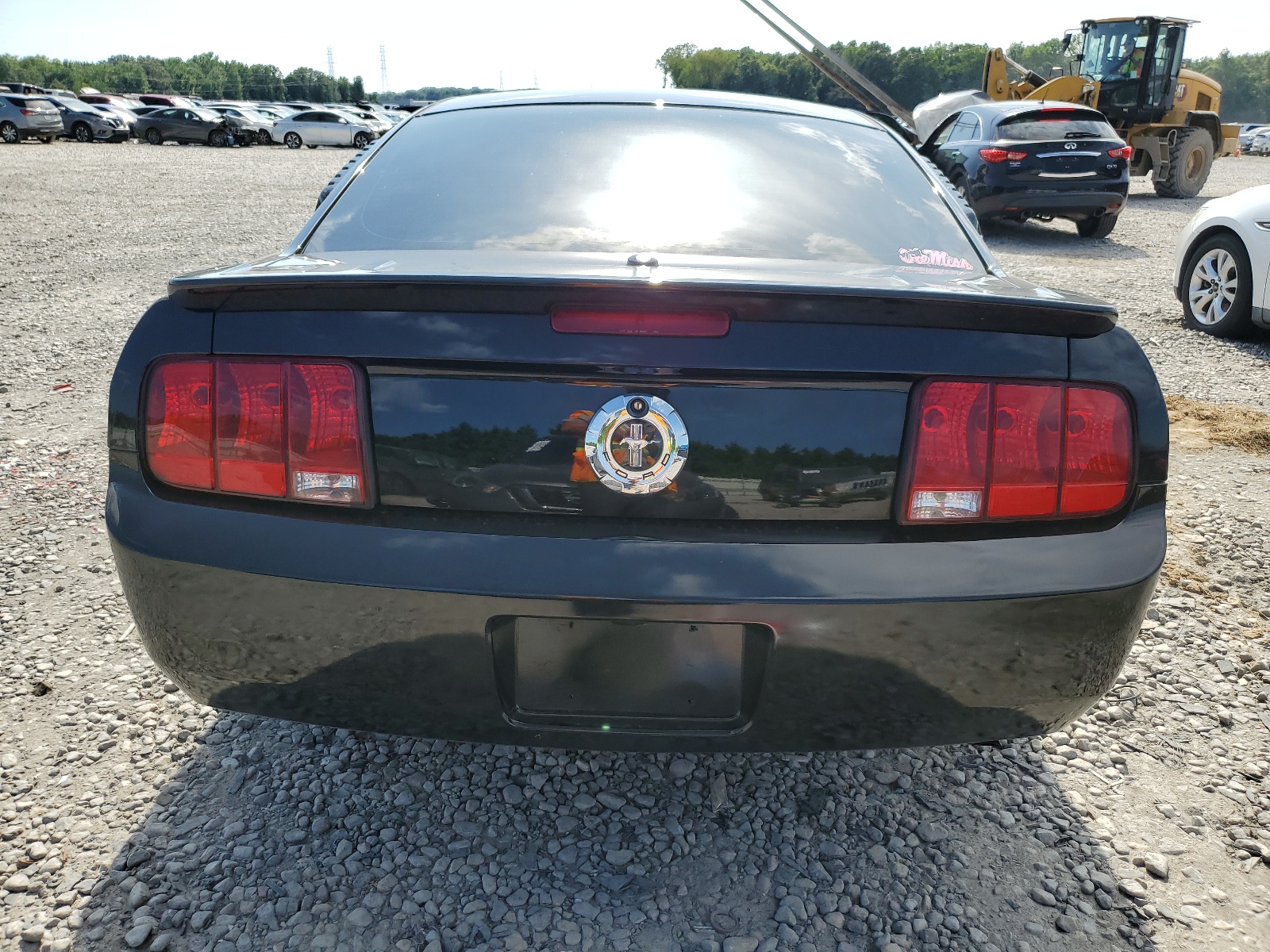 1ZVHT80N185112919 2008 Ford Mustang