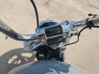 2024 Harley-Davidson Fxst  for Sale in Oklahoma City, OK - Front End