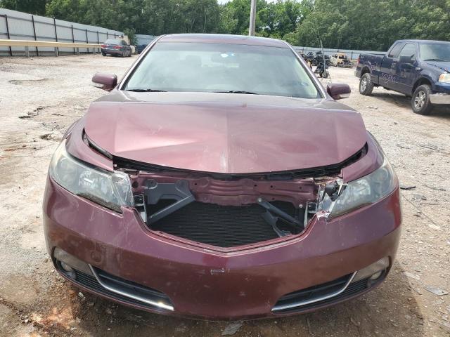 Седаны ACURA TL 2013 Бордовый