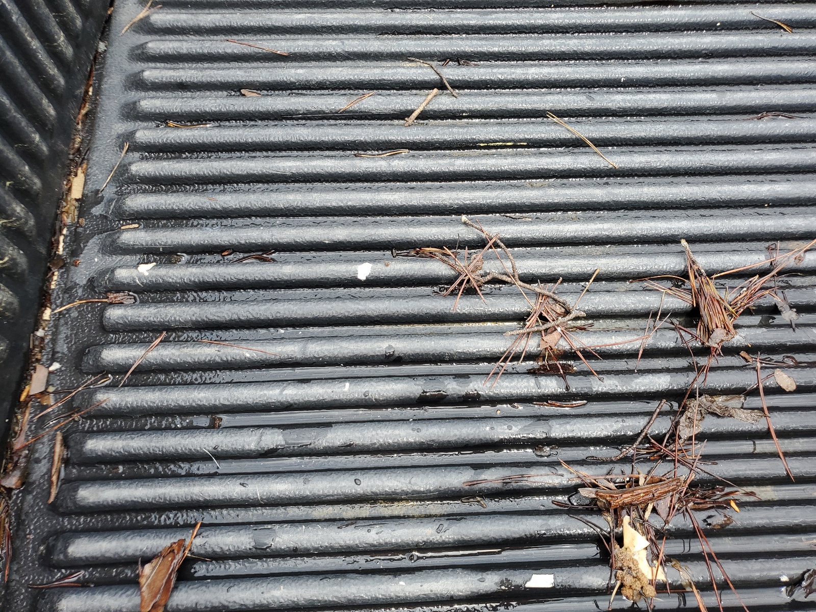 4TANL42N3XZ504248 1999 Toyota Tacoma