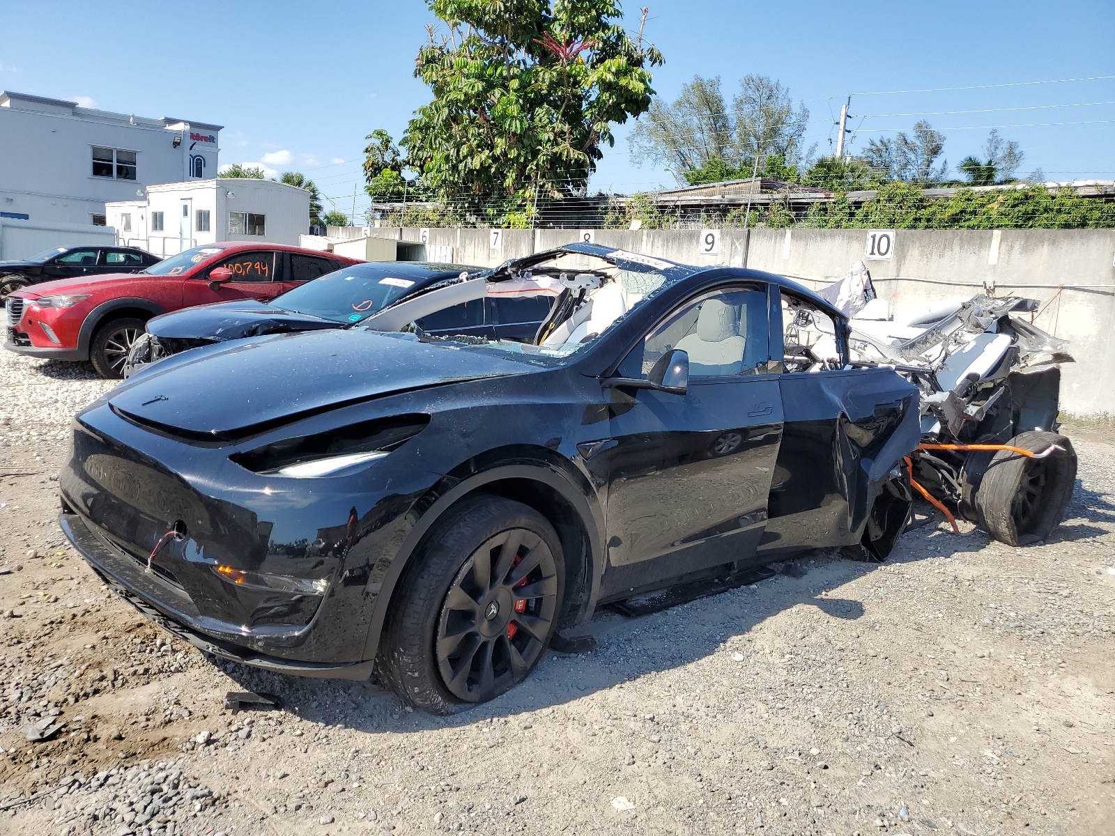 2023 Tesla Model Y vin: 7SAYGDEE0PF883459