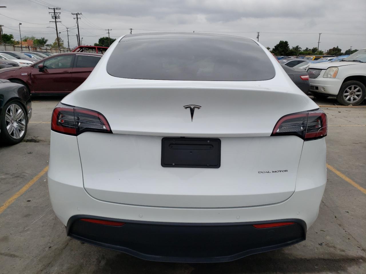 2022 Tesla Model Y VIN: 7SAYGDEE1NF554234 Lot: 55656584