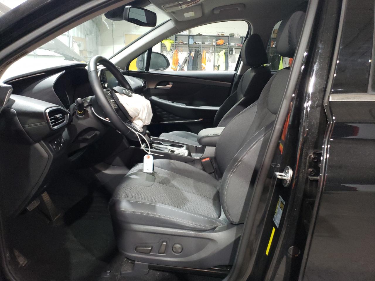 2020 Hyundai Santa Fe Sel VIN: 5NMS3CAD1LH195694 Lot: 55718004