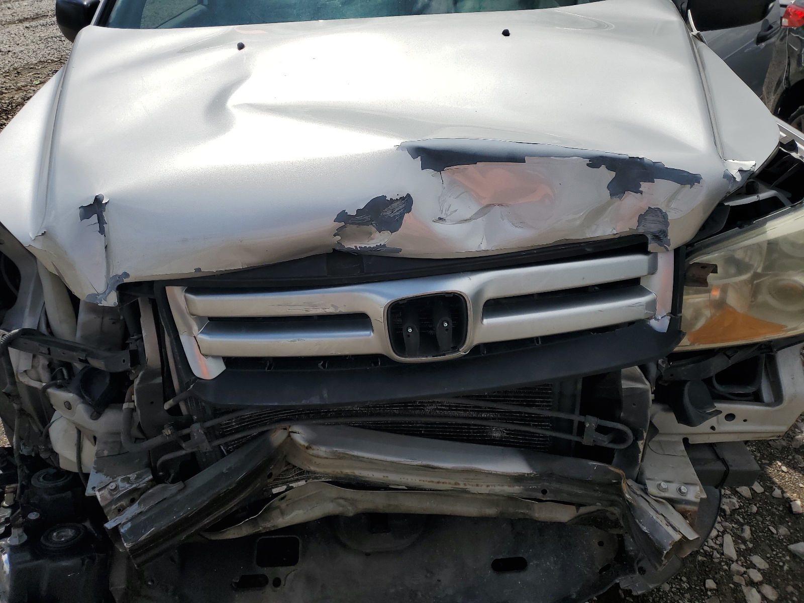 5FNYF18116B005724 2006 Honda Pilot Lx