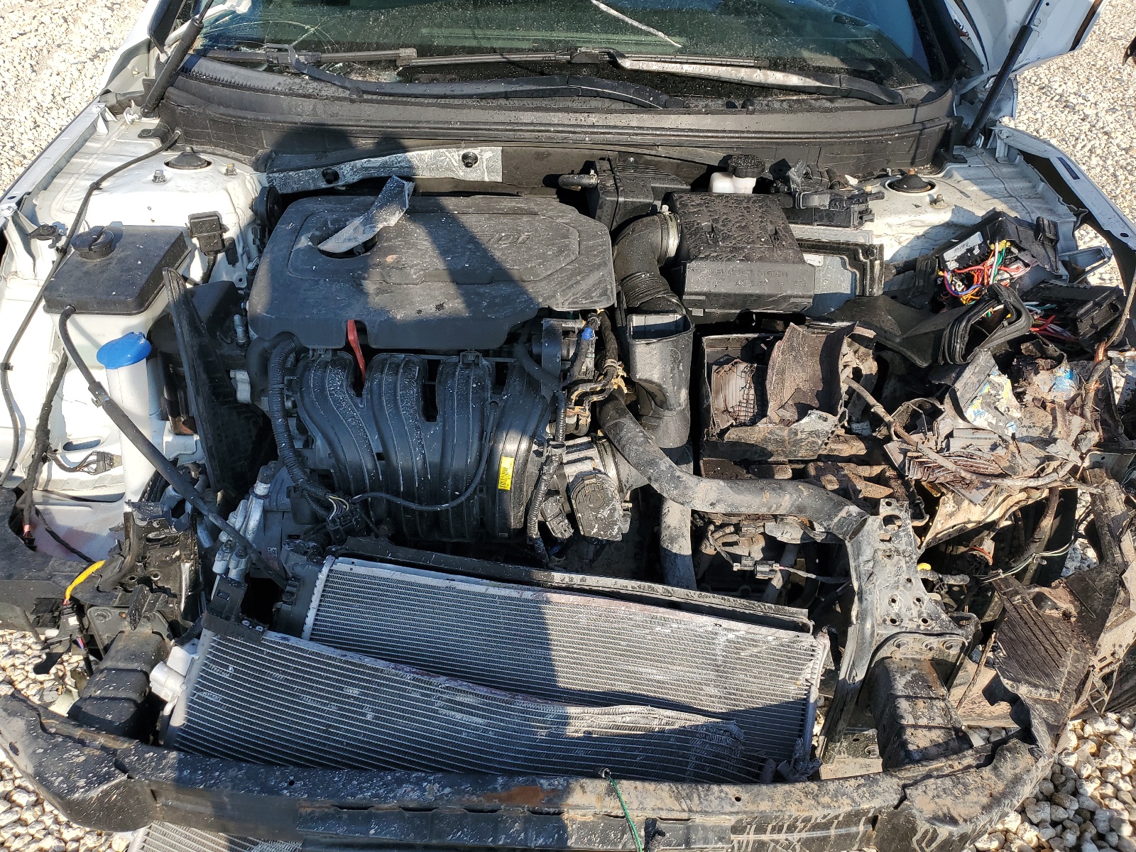 5NPE24AF6JH650644 2018 Hyundai Sonata Se