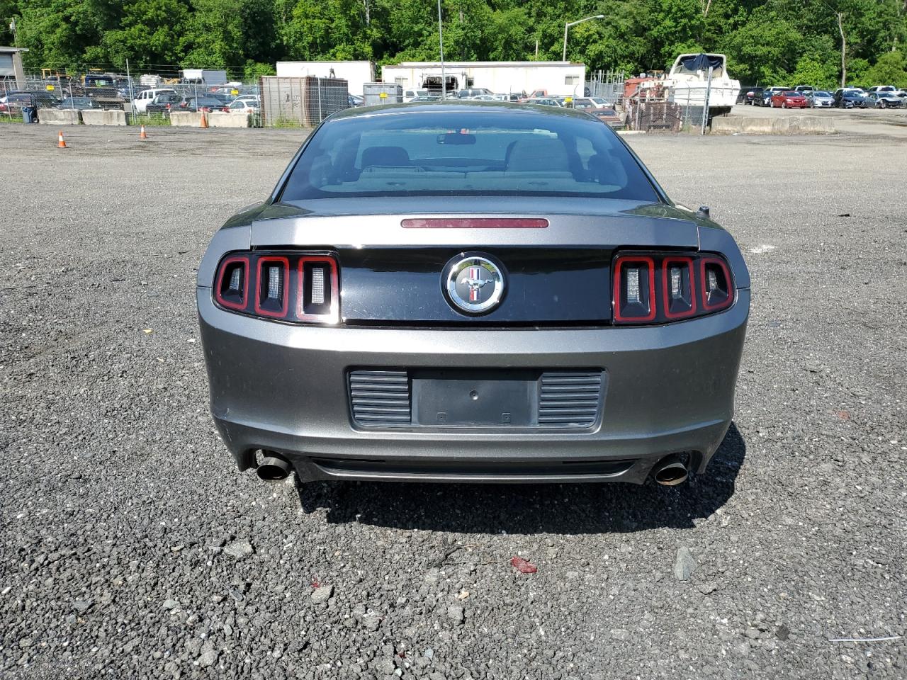 2014 Ford Mustang VIN: 1ZVBP8AM6E5240827 Lot: 55857924