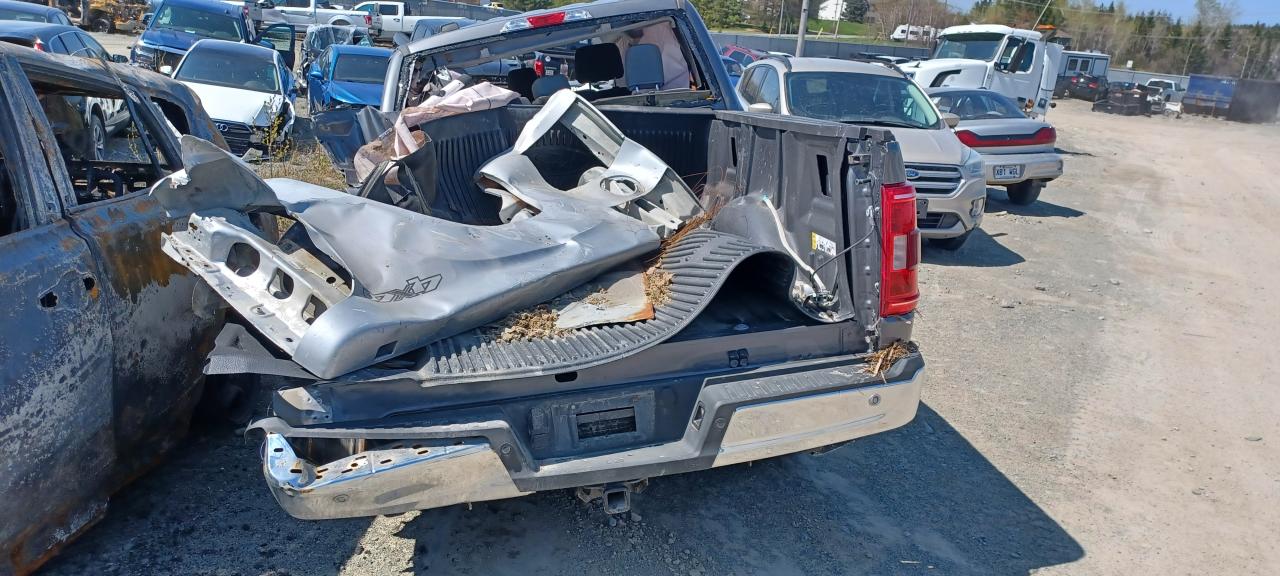 1FTFW1E84PFC28345 FORD F-150 2023