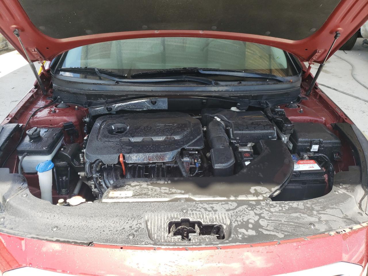 2016 Hyundai Sonata Se VIN: 5NPE24AF2GH354903 Lot: 56454554