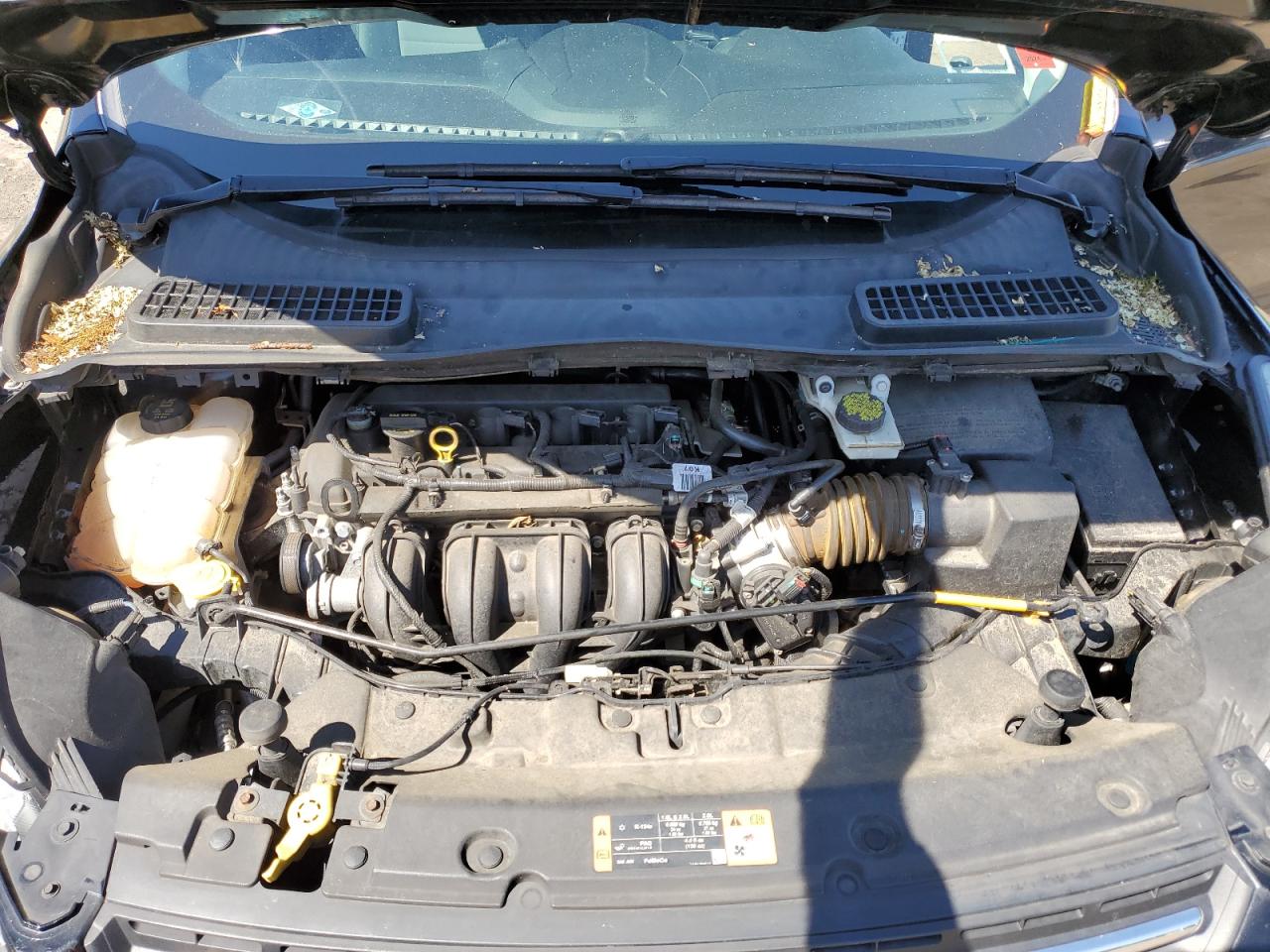 2015 Ford Escape Se VIN: 1FMCU0G74FUB10406 Lot: 55688624