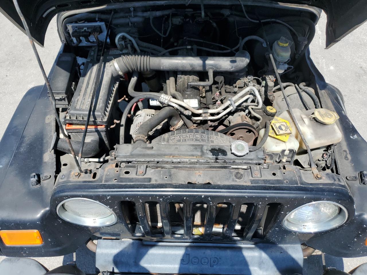 2003 Jeep Wrangler Commando VIN: 1J4FA39S73P359123 Lot: 56931244