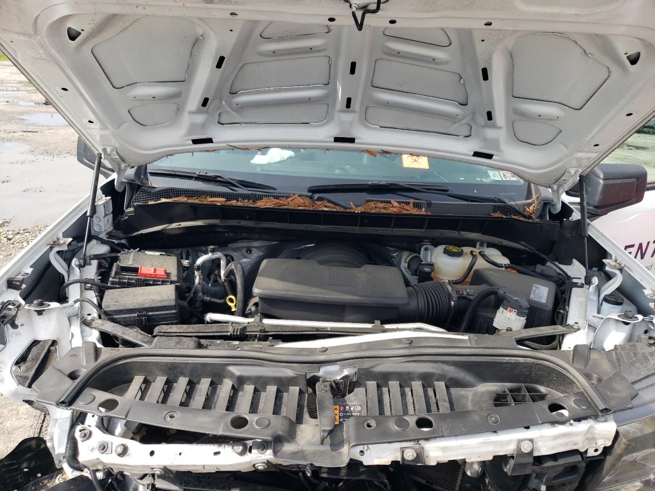 2021 Chevrolet Silverado K1500 VIN: 1GCRYAEF5MZ337879 Lot: 53938824