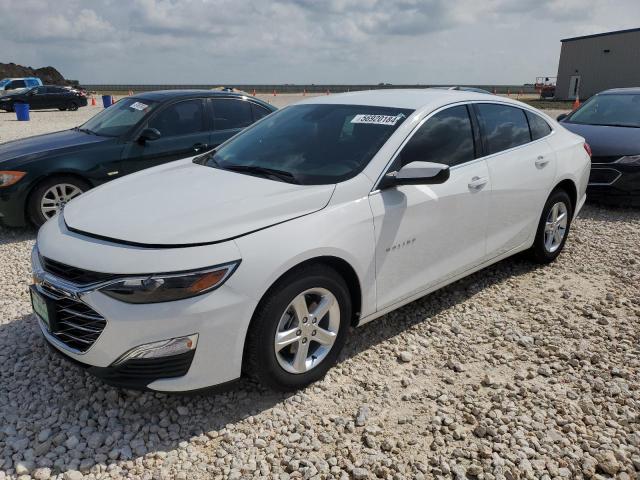  CHEVROLET MALIBU 2024 White