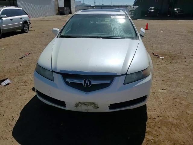 2006 Acura 3.2Tl VIN: 19UUA66276A028487 Lot: 55209304