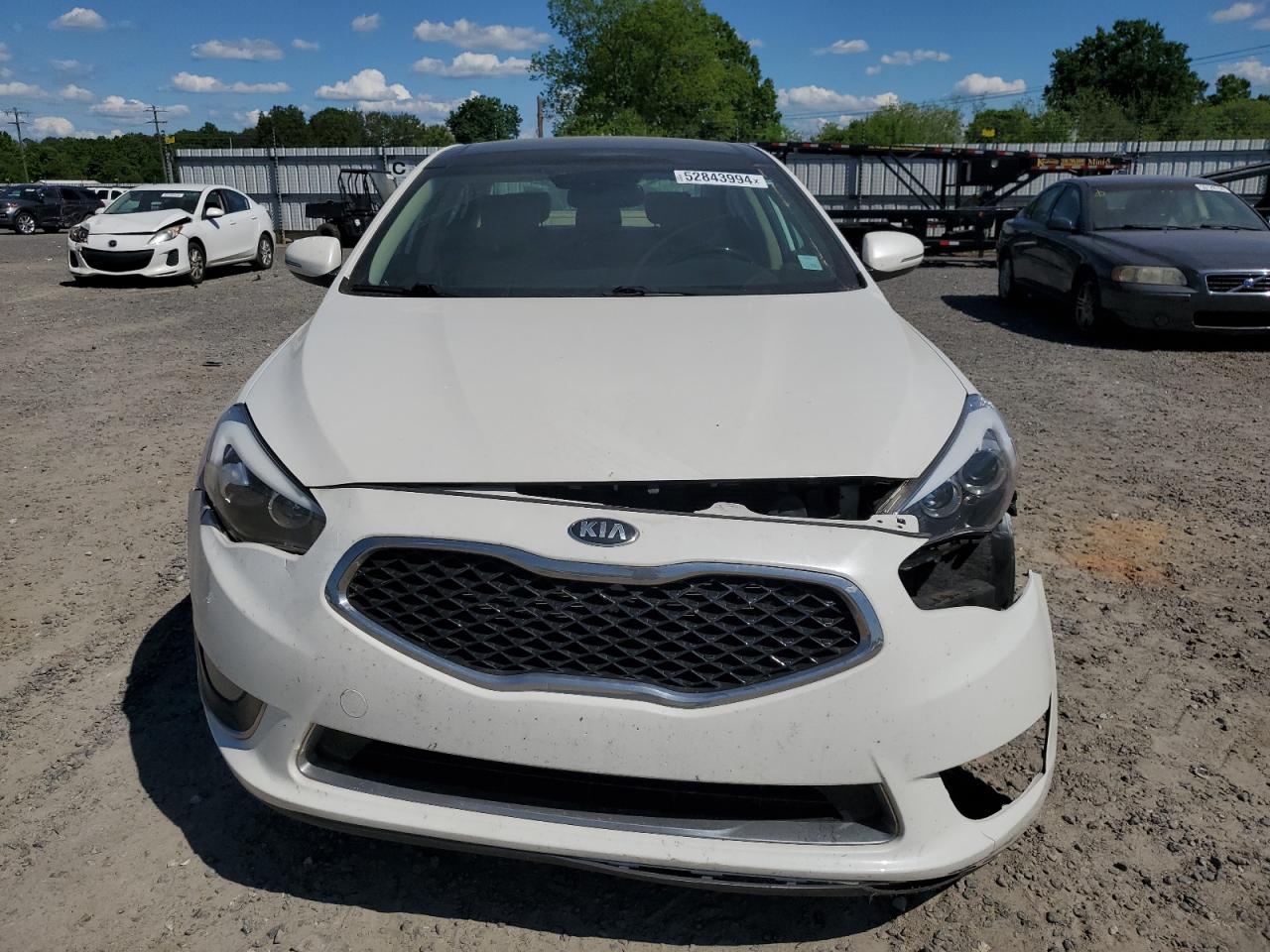 2014 Kia Cadenza Premium VIN: KNALN4D78E5166366 Lot: 52843994