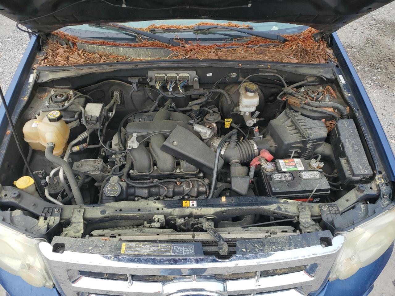 2008 Ford Escape Xlt VIN: 1FMCU03198KC06161 Lot: 52162244