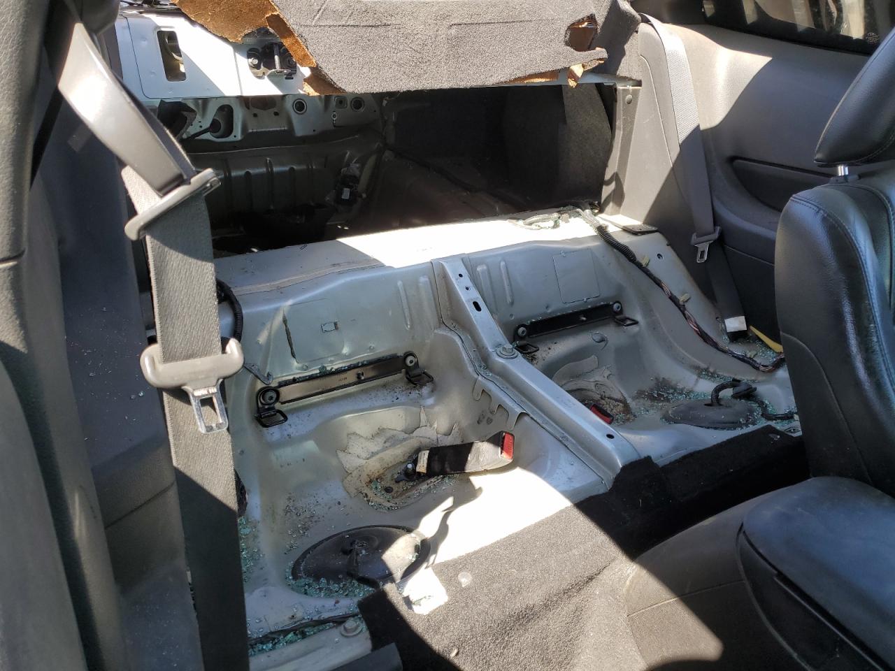 2008 Ford Mustang VIN: 1ZVHT80N485166165 Lot: 56489184