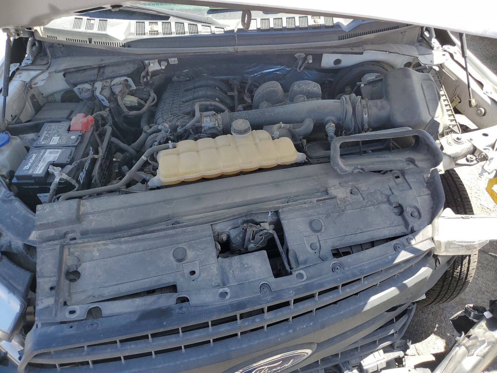 1FTMF1CB1KKC14599 2019 Ford F150