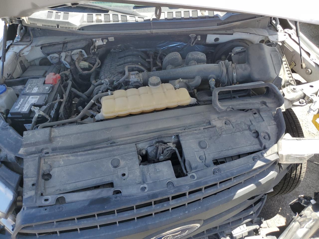 2019 Ford F150 VIN: 1FTMF1CB1KKC14599 Lot: 54288674