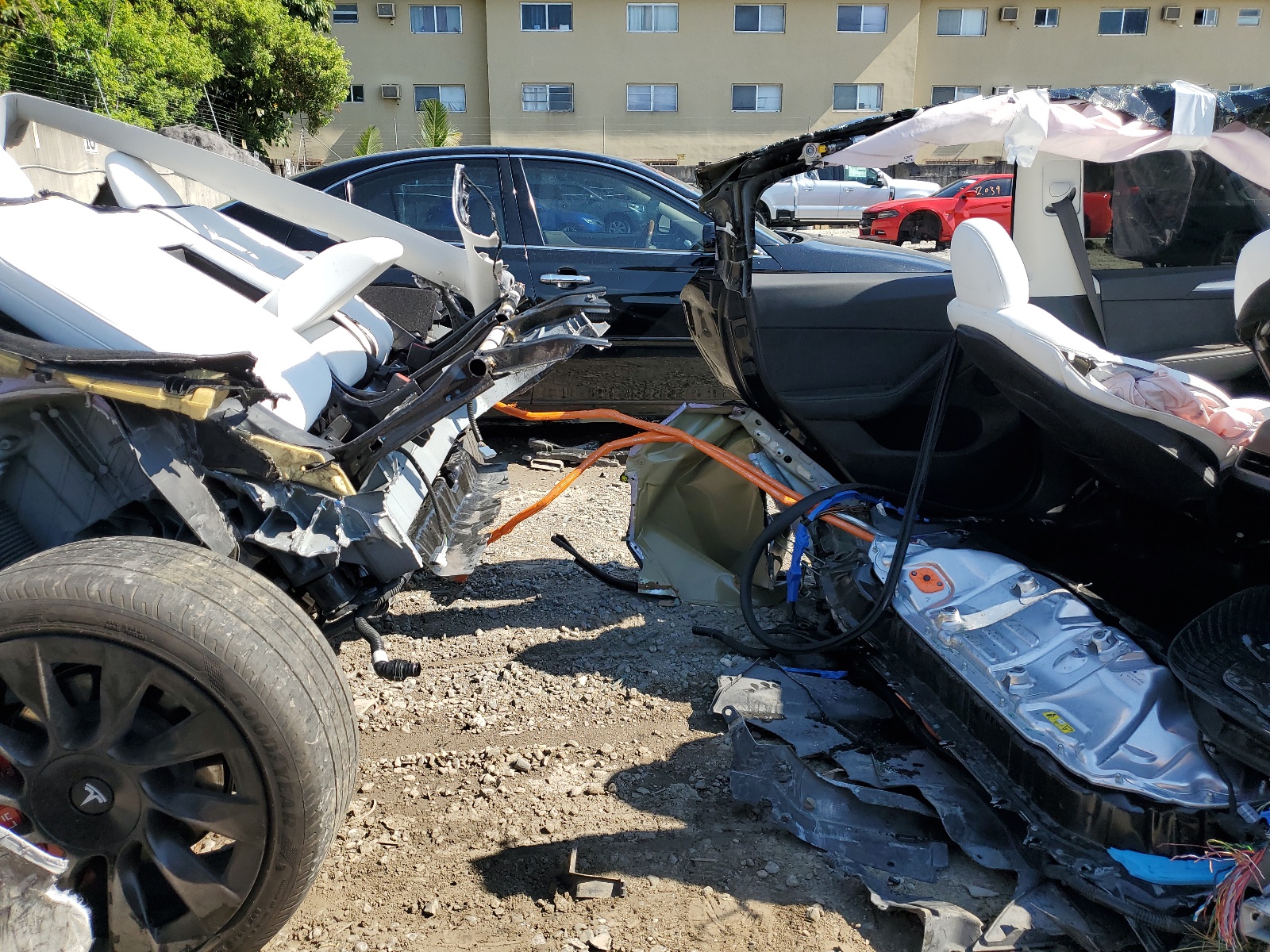 2023 Tesla Model Y vin: 7SAYGDEE0PF883459