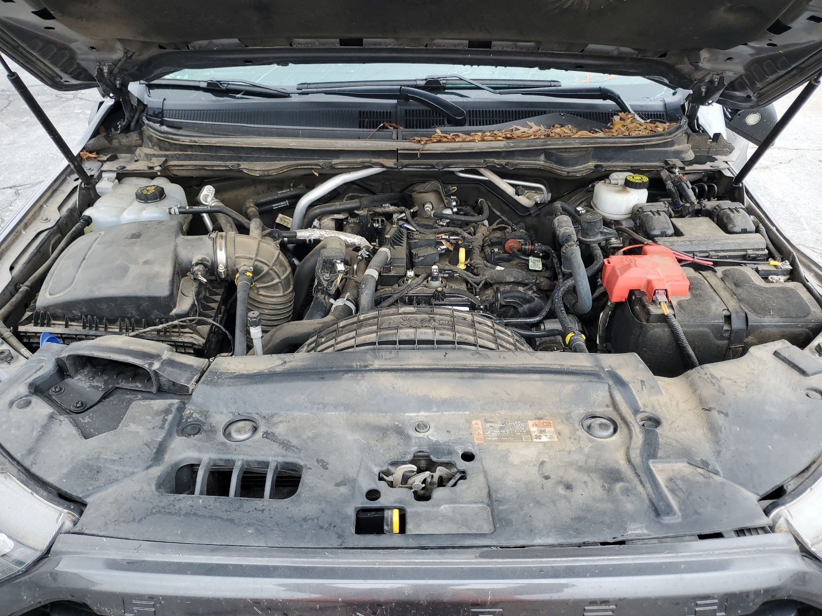 1FTER4FH2MLD17055 2021 Ford Ranger Xl