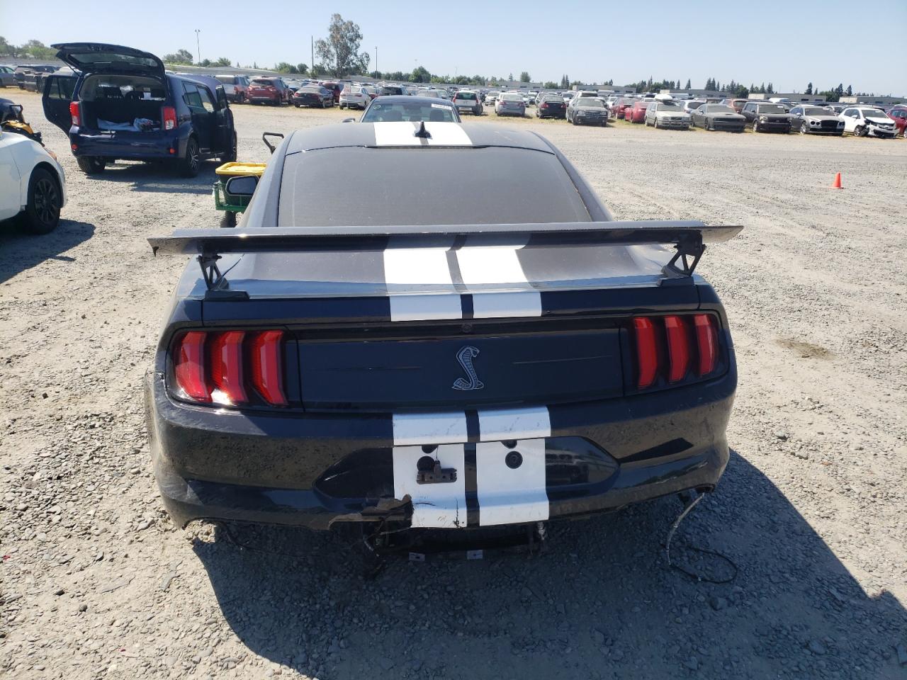 2021 Ford Mustang Shelby Gt500 VIN: 1FA6P8SJXM5502765 Lot: 55394564