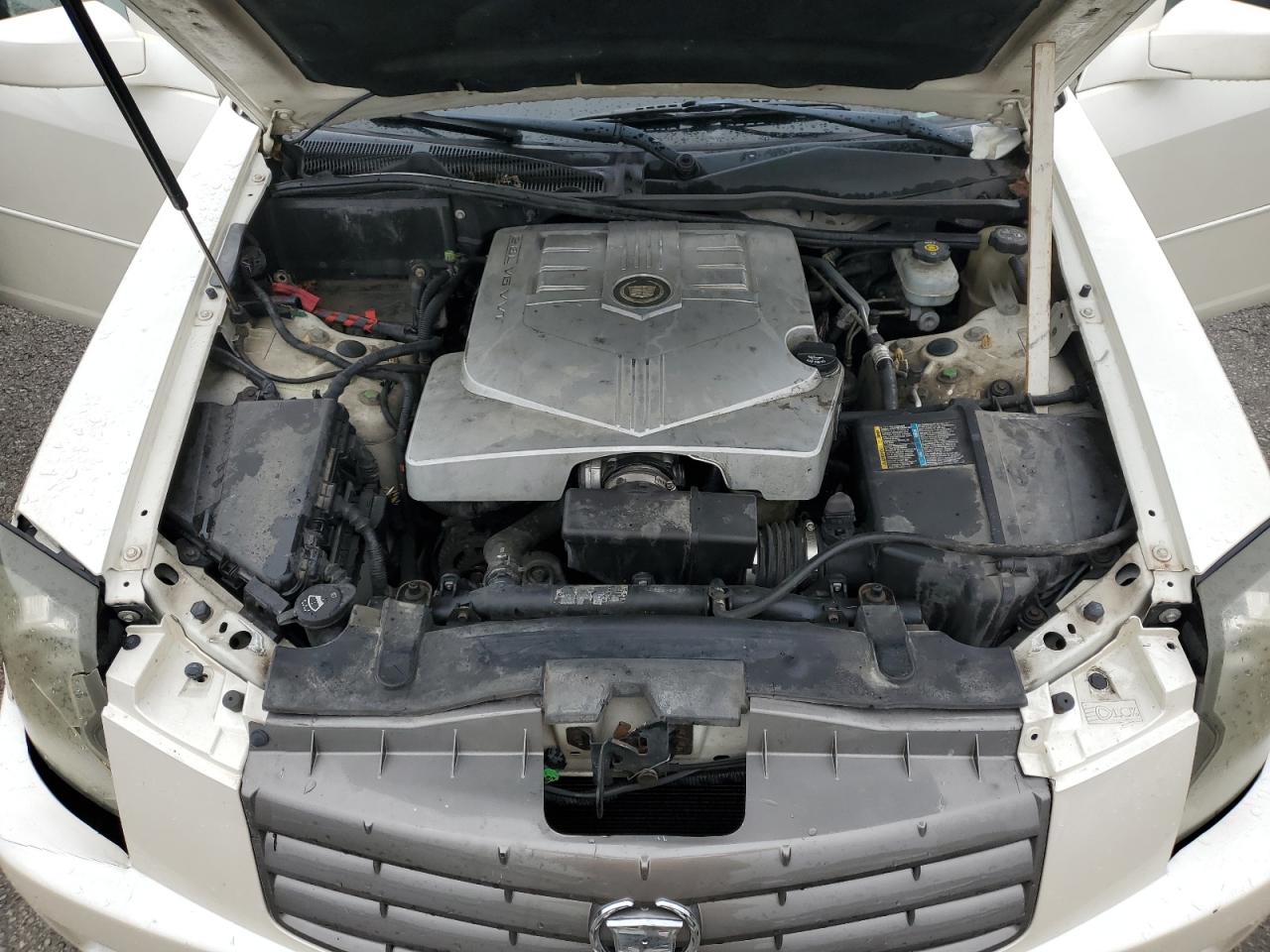 2005 Cadillac Cts VIN: 1G6DM56T750236711 Lot: 55206524