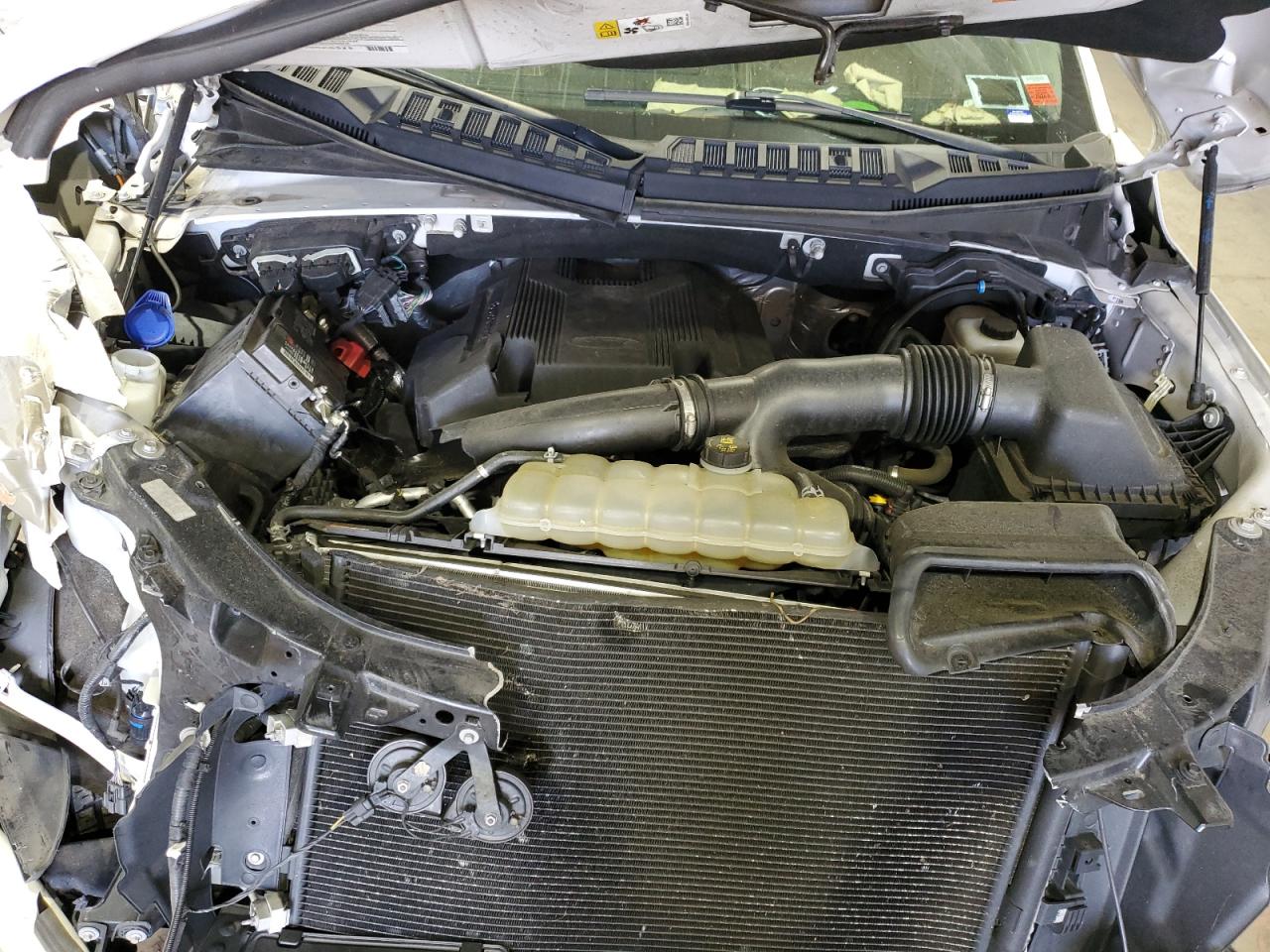 2019 Ford F150 Supercrew VIN: 1FTEW1EG4KFC93885 Lot: 56465154