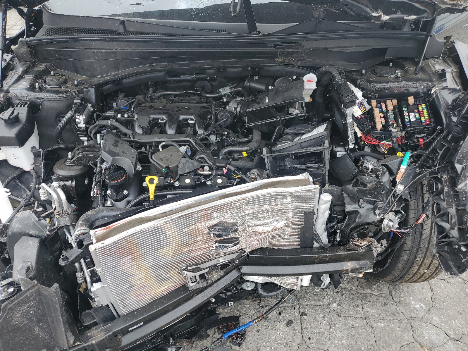 KM8R24GE5RU746567 2024 Hyundai Palisade Sel