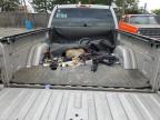 2004 Chevrolet Silverado C1500 na sprzedaż w Denver, CO - Vandalism