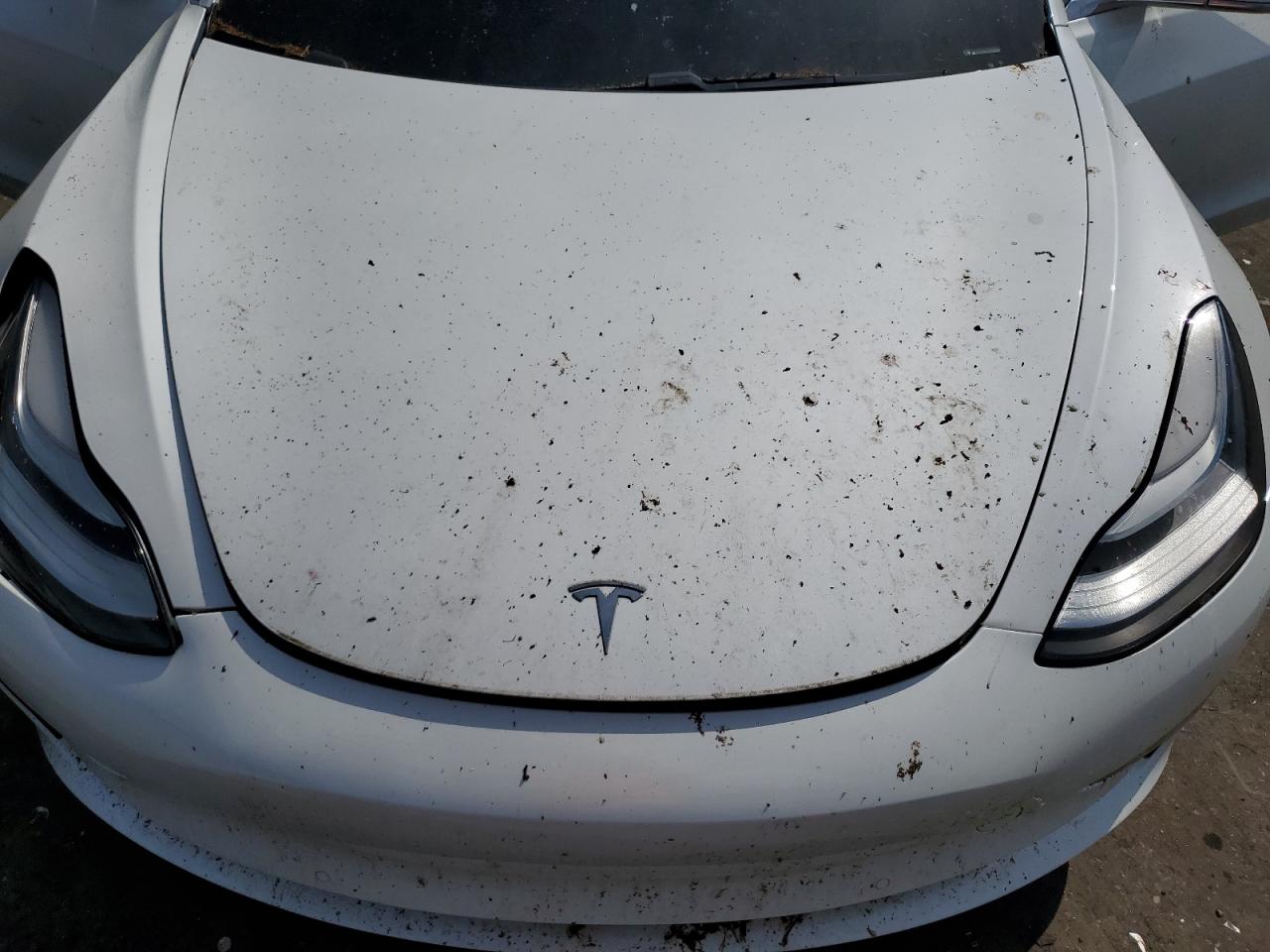 2020 Tesla Model 3 VIN: 5YJ3E1EA4LF635007 Lot: 53170594