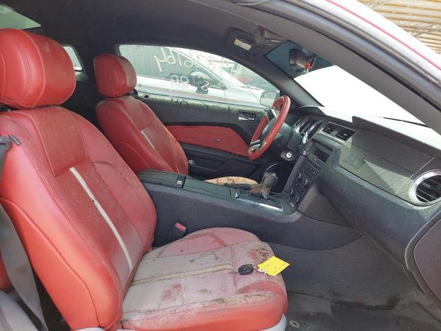 1ZVBP8CF7E5244481 - 2014 FORD MUSTANG - #49836164