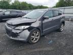 2014 Ford Escape Titanium for Sale in Grantville, PA - Front End