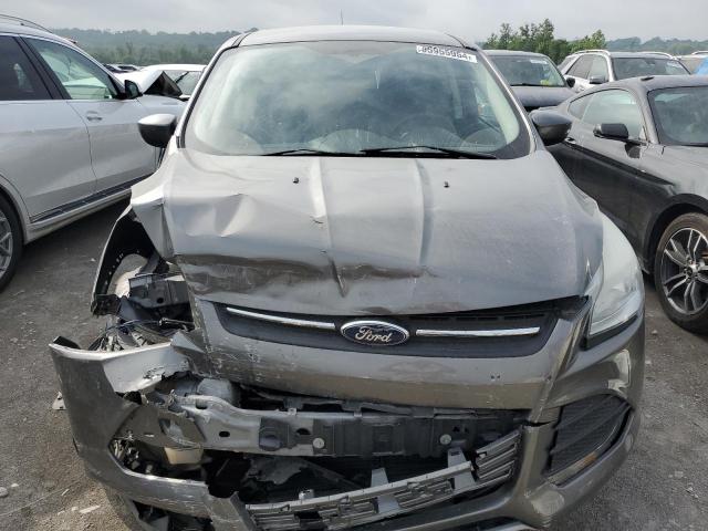 2014 FORD ESCAPE SE 1FMCU0GXXEUD30924  55955954