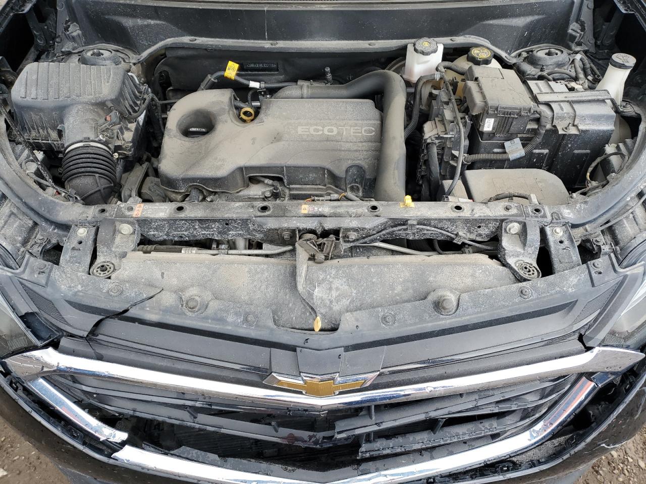 2GNAXUEV8L6221103 CHEVROLET EQUINOX 2020