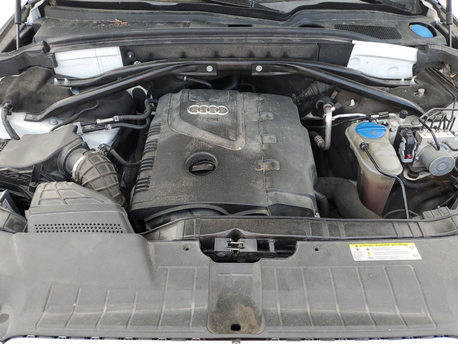 WA1LFAFP1CA029991 2012 Audi Q5 Premium Plus