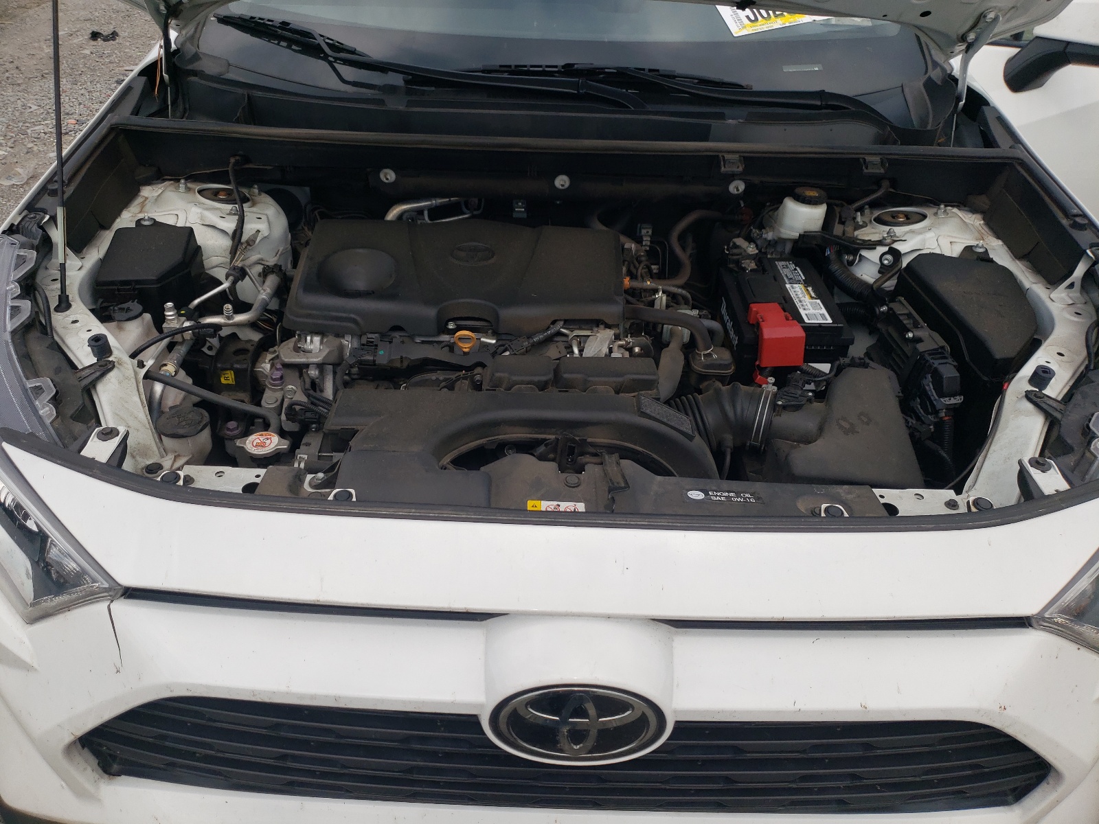 2T3W1RFV2LC046879 2020 Toyota Rav4 Xle